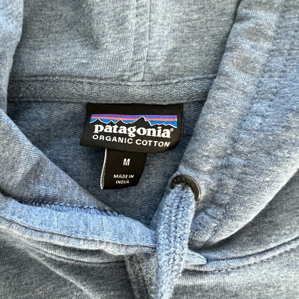 Blue Patagonia hoodie